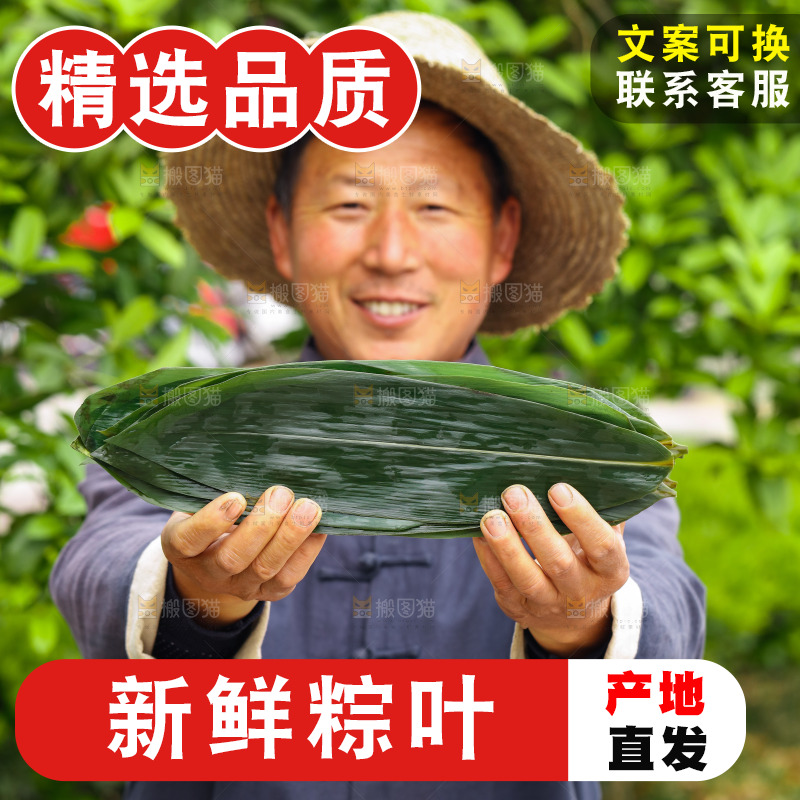 手里拿着粽叶