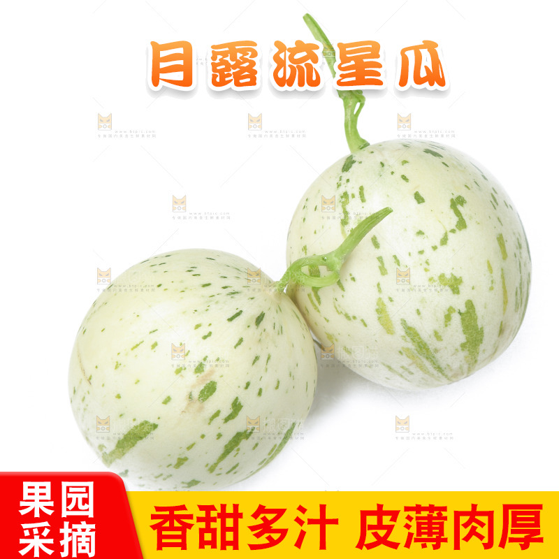 白底上的流星蜜瓜