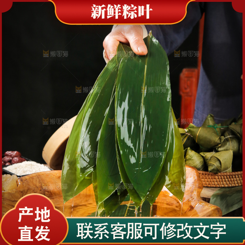手里拿着新鲜粽叶