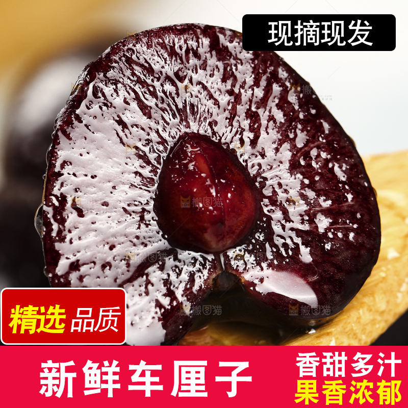勺子上舀着黑珍珠
