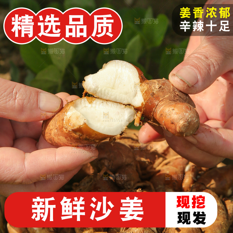 双手掰开沙姜