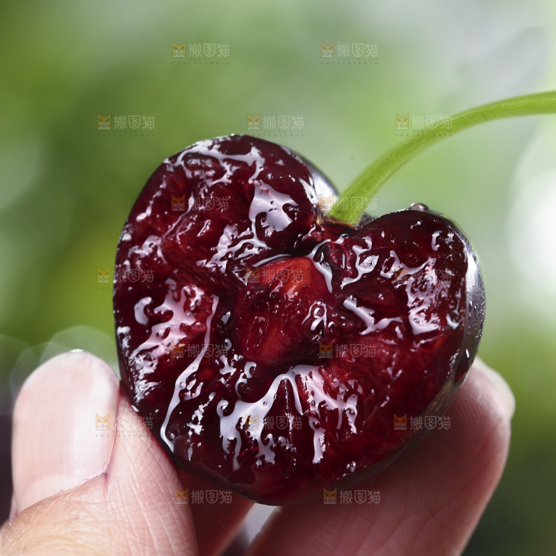 手里拿着汉源黑珍珠