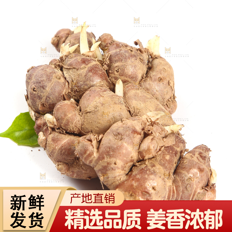 白底上放着茂名沙姜