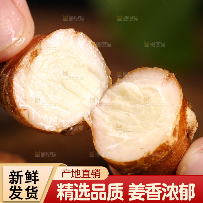 手里拿着沙姜