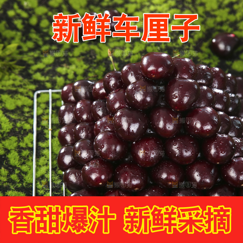 绿色草坪上摆放着一堆车厘子