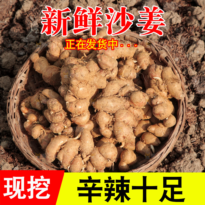 田地上放着一篮沙姜
