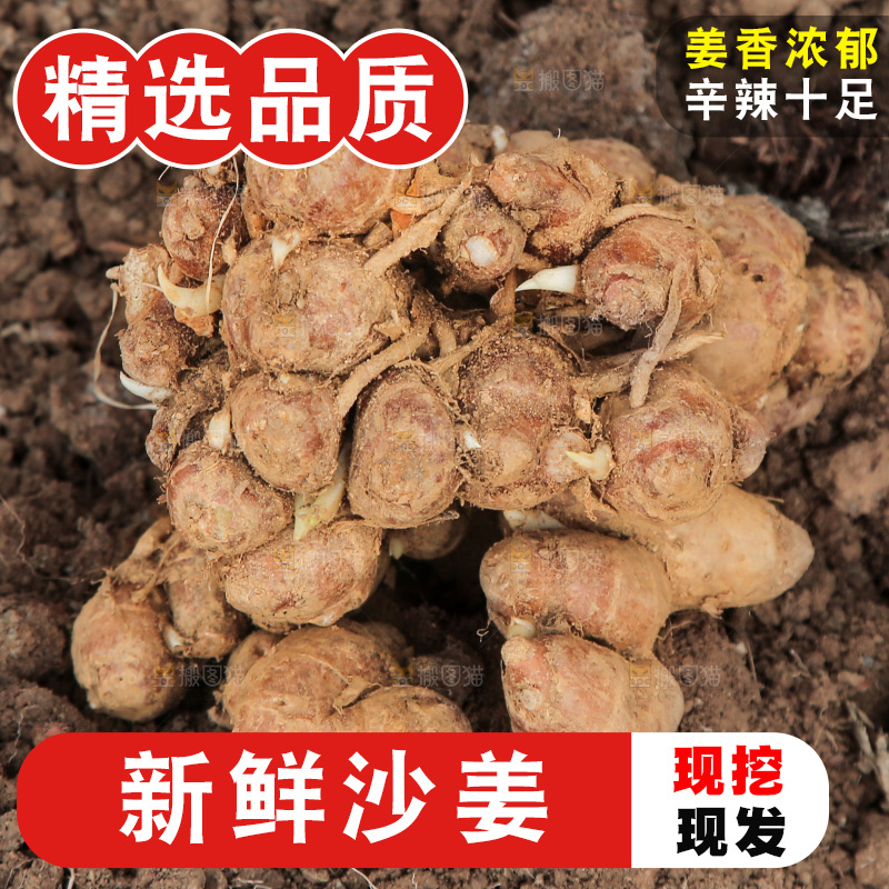 田地上放着沙姜