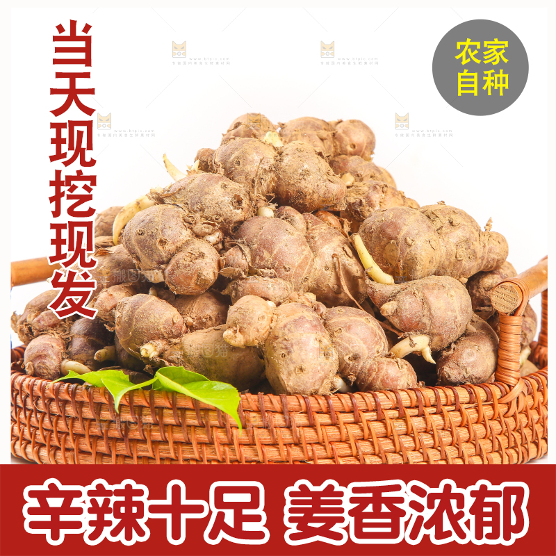 白底上放着一篮沙姜