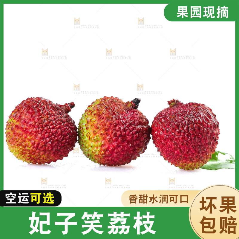 白底上放着妃子笑荔枝