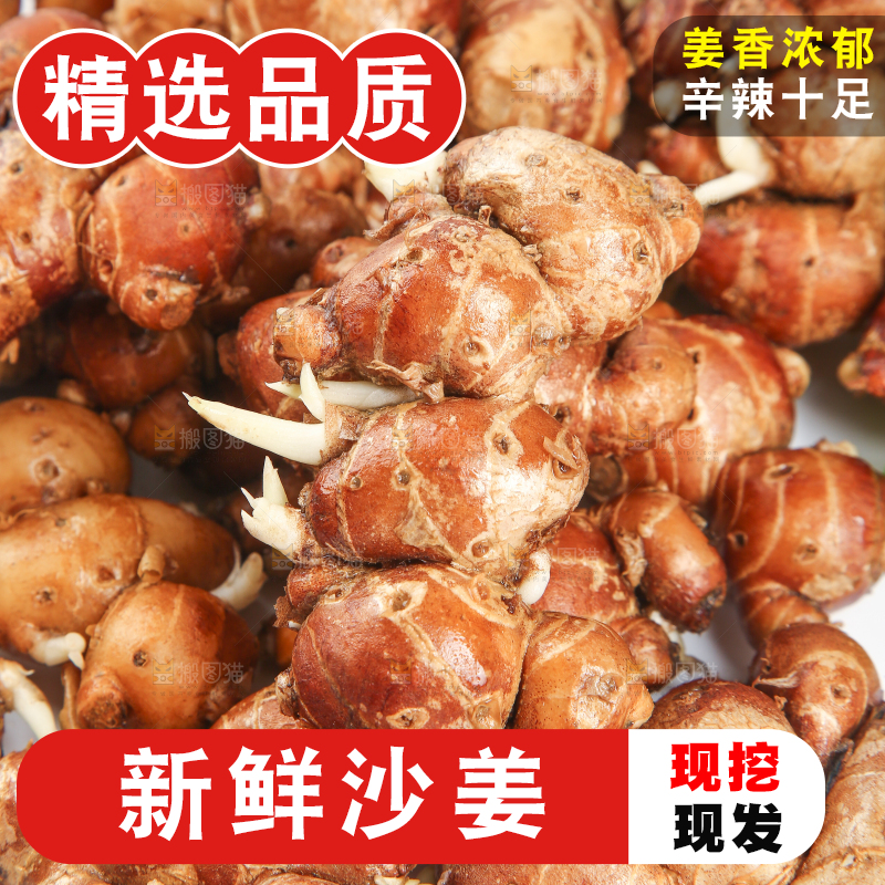 沙姜纹理