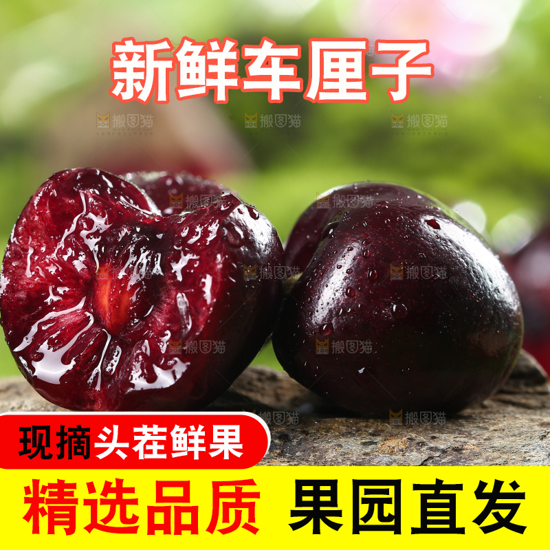 石头上的樱桃
