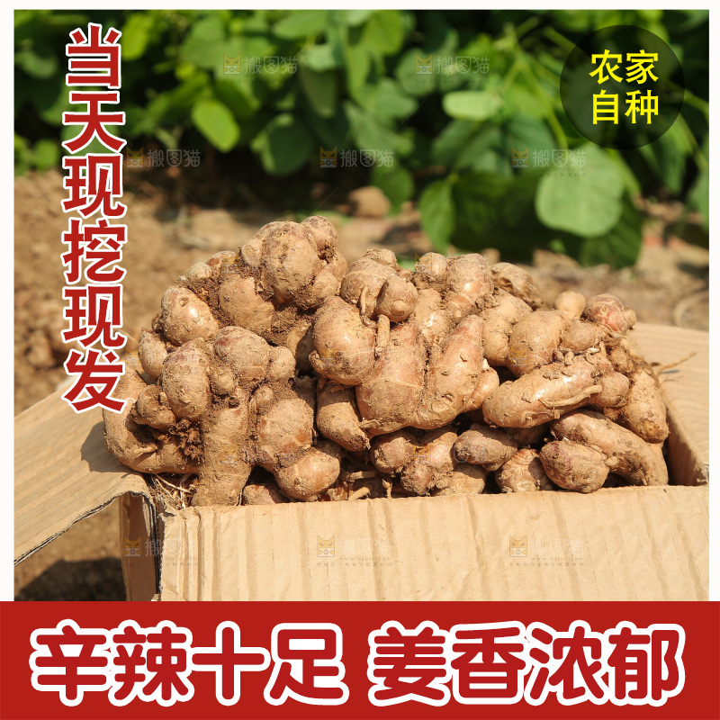 一箱沙姜