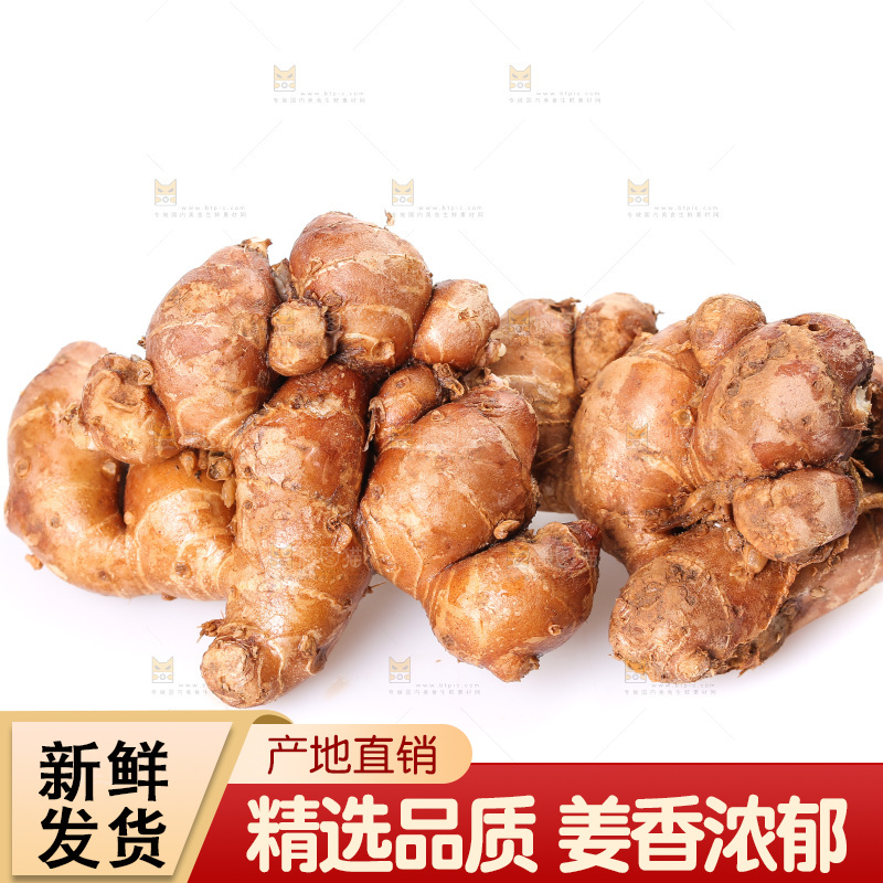 白底上摆放着沙姜