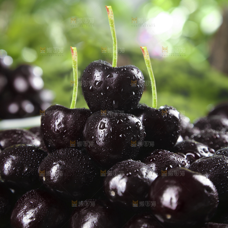 草坪上放着一堆汉源黑珍珠