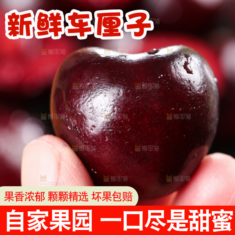 手里拿着车厘子