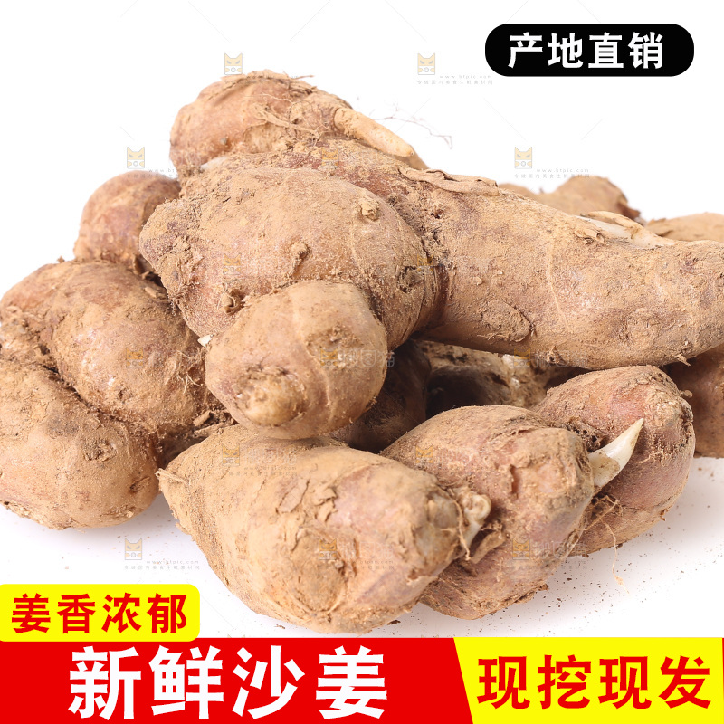 白底上放着新鲜沙姜