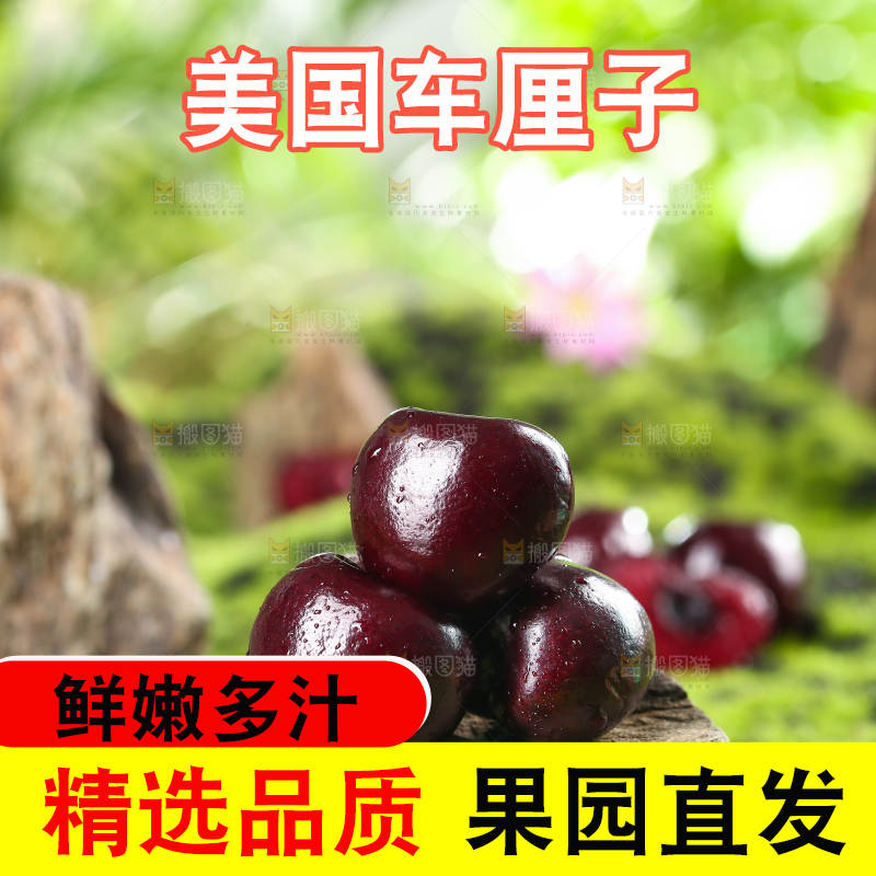 石头上的樱桃