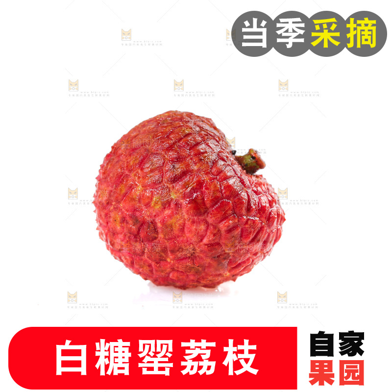 白底上放着一颗白糖罂荔枝