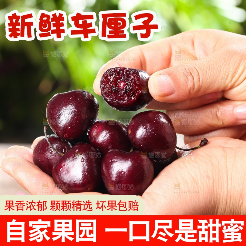 手里捧着进口车厘子