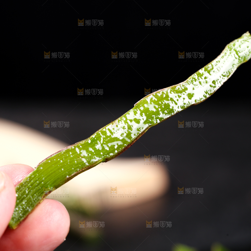 手里拿着石斛