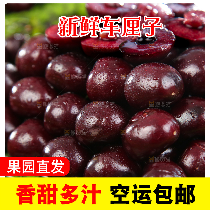 一堆新鲜车厘子