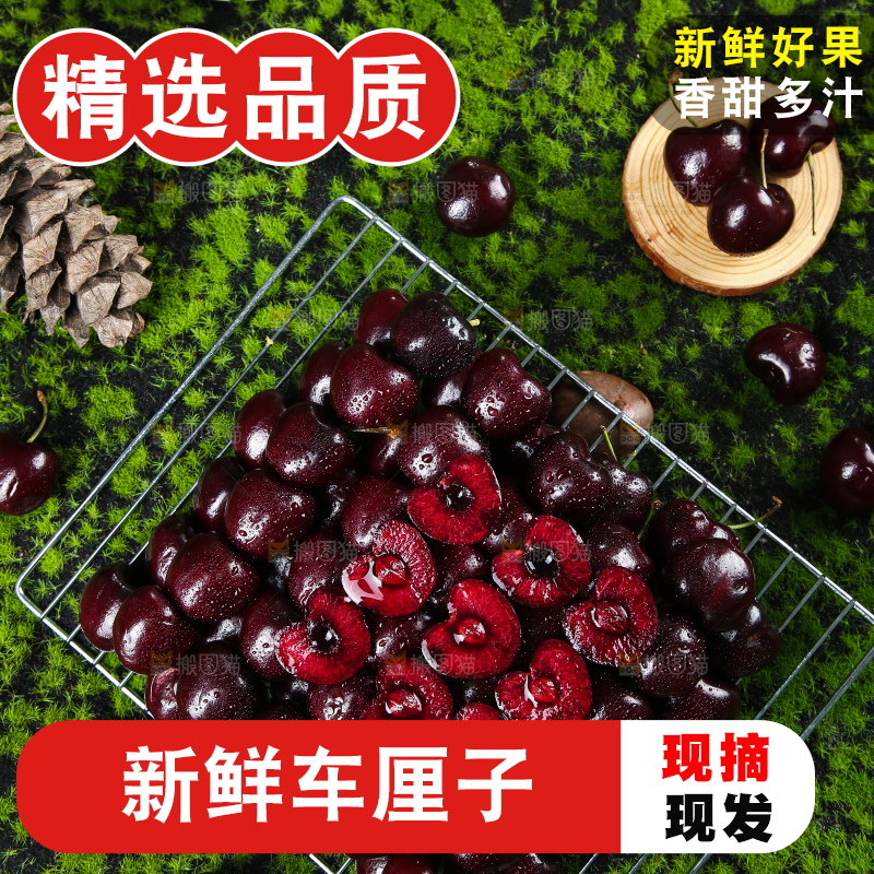 一堆新鲜车厘子