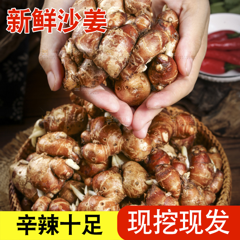 手里捧着沙姜