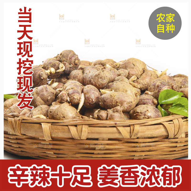 白底上放着一篮沙姜