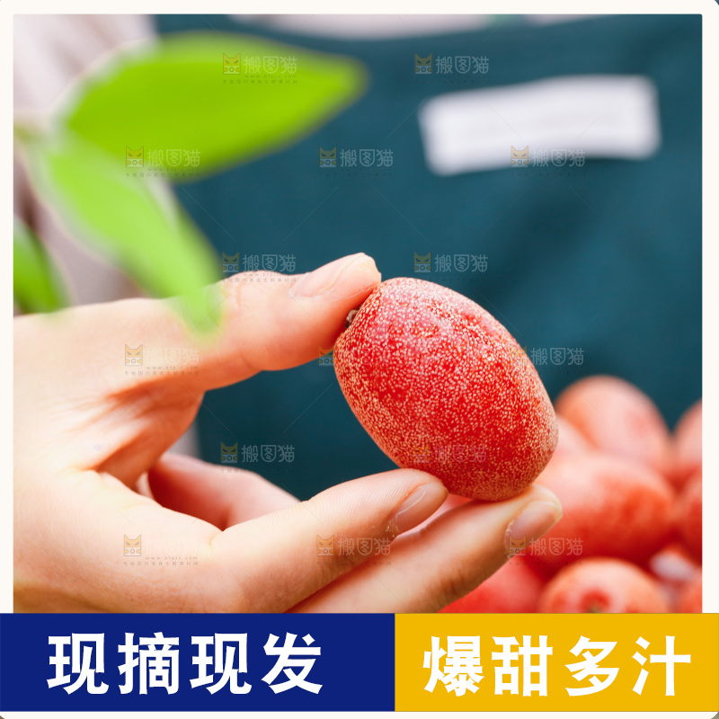 手里拿着新鲜羊奶果