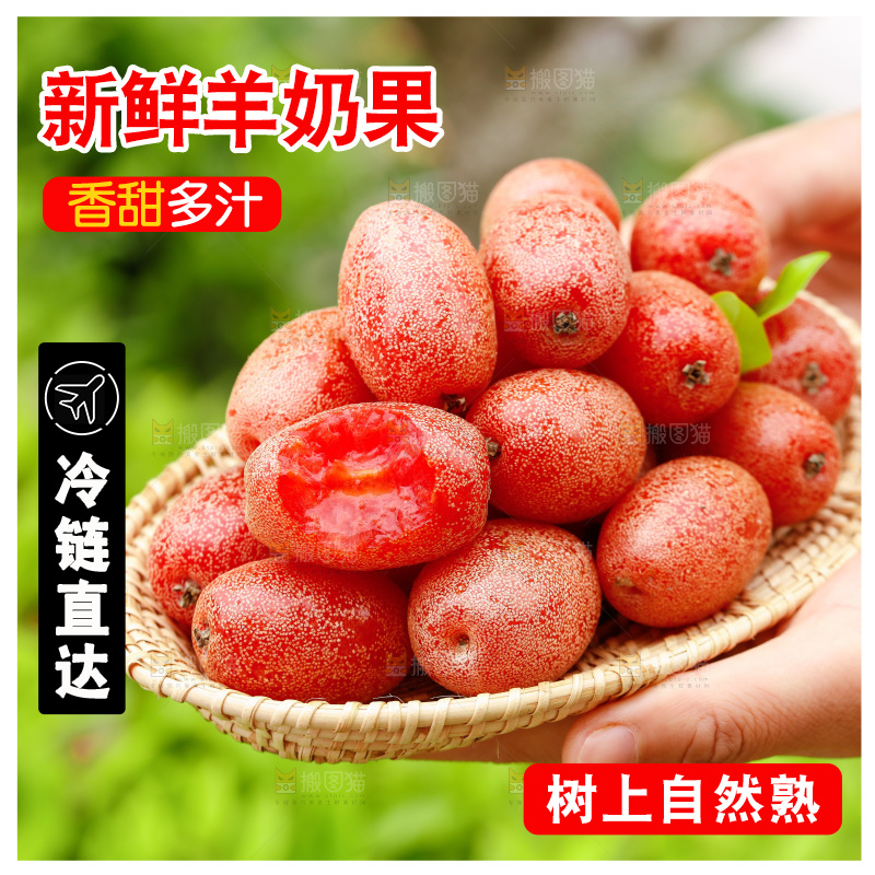 手里端着一盘新鲜羊奶果