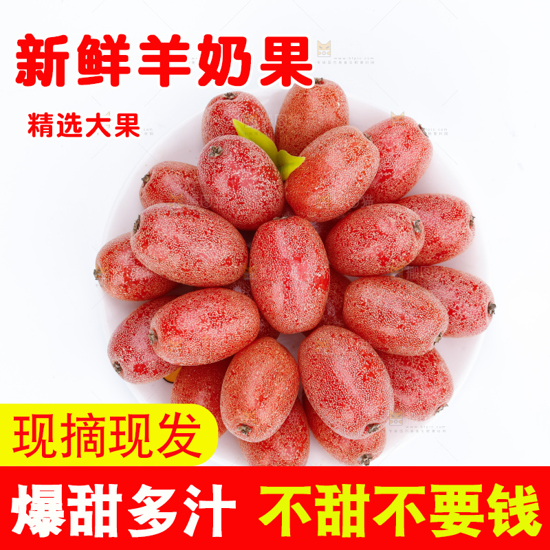 白底上放着一盘云南羊奶果