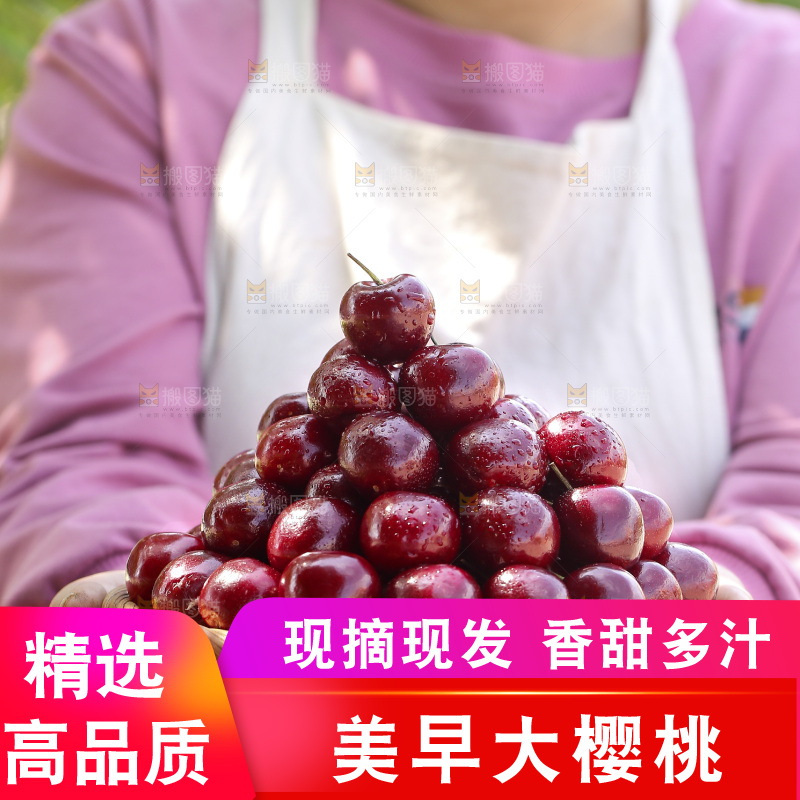 女人端着一盘山东大樱桃