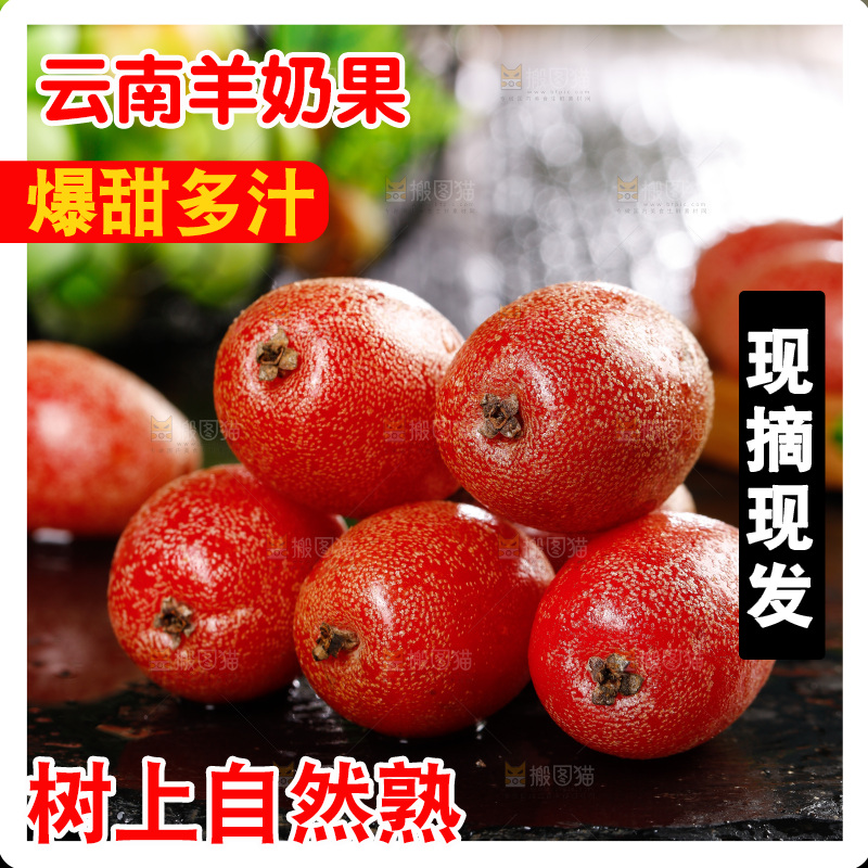 黑底上放着新鲜羊奶果