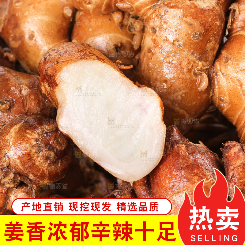 沙姜纹理