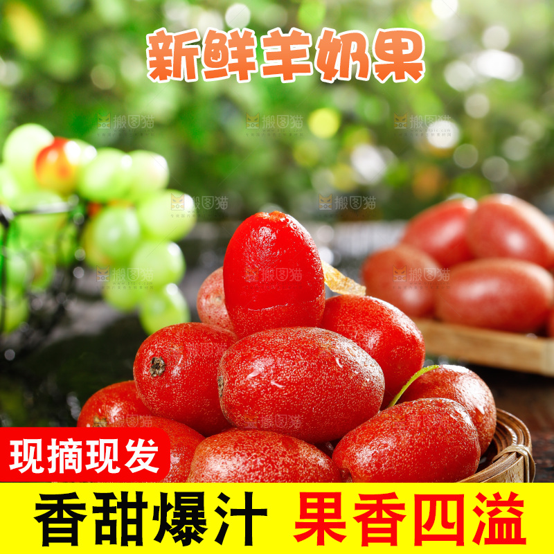 黑底上放着一篮羊奶果