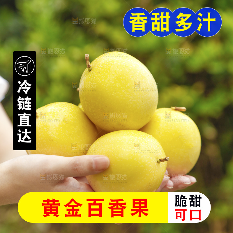 手里拿着黄金百香果