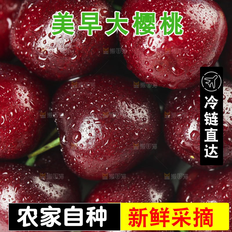 山东大樱桃纹理