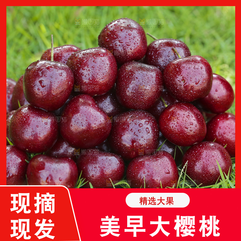 草地上放着一堆烟台大樱桃