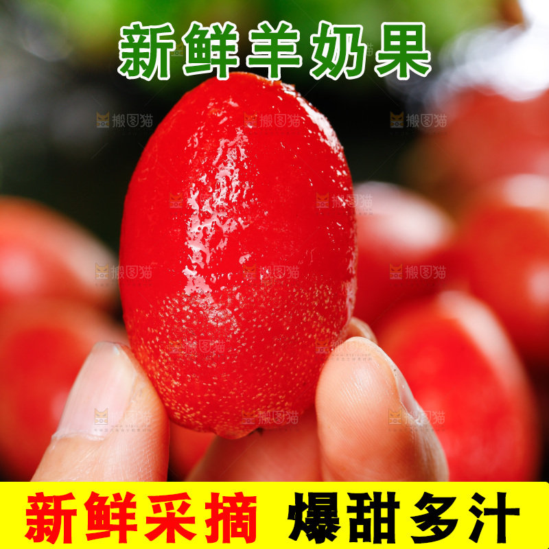 手里拿着羊奶果