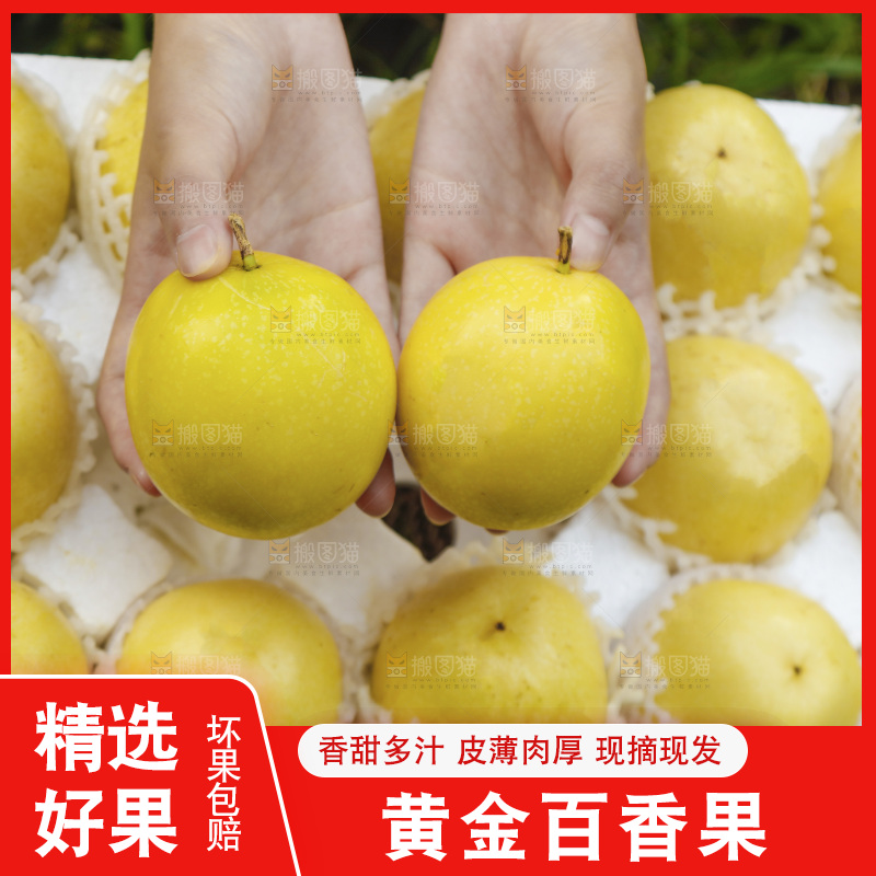 手上拿着黄金百香果