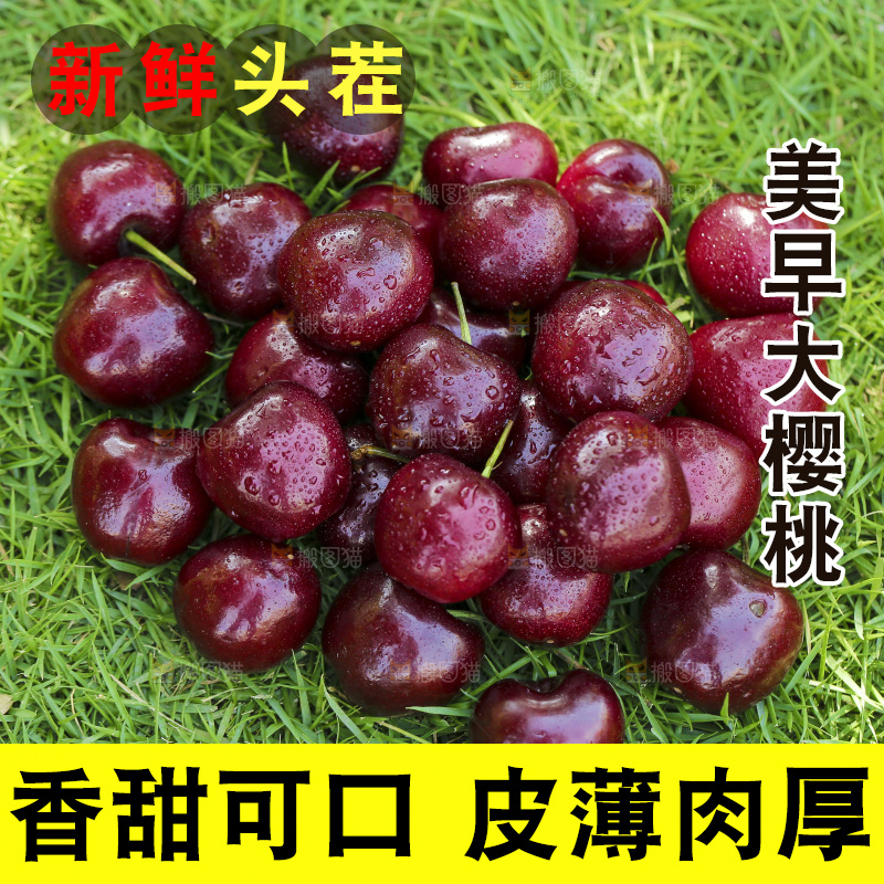 草地上放着一堆烟台大樱桃