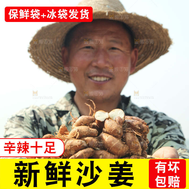 农田里农民手端着一盘沙姜