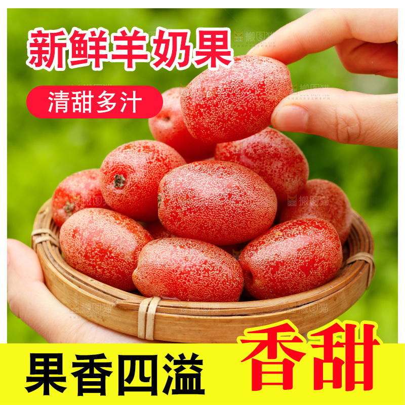 手里端着一盘新鲜羊奶果