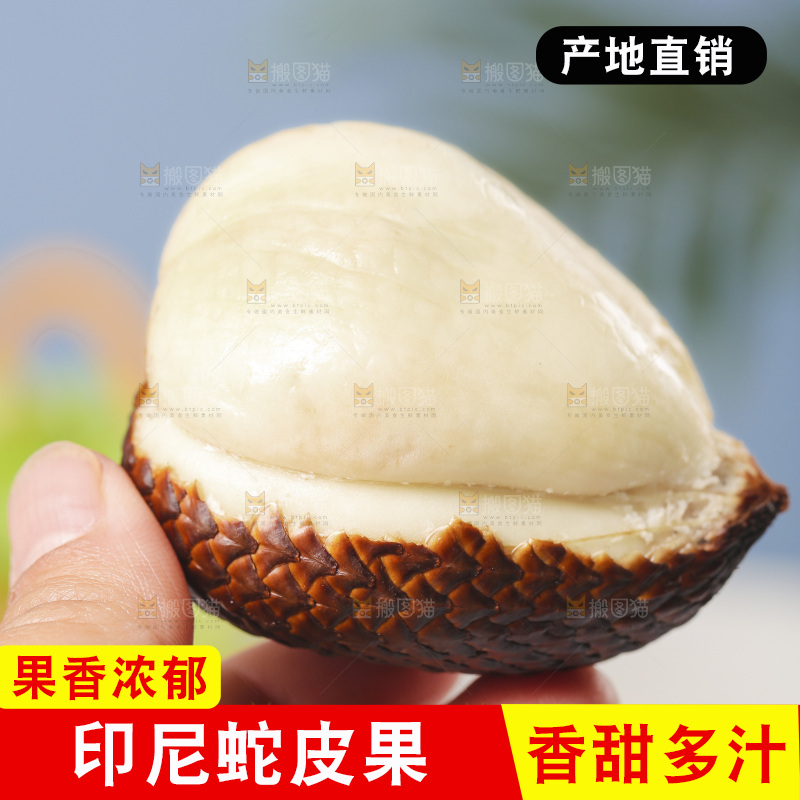 手里拿着着新鲜印尼蛇皮果