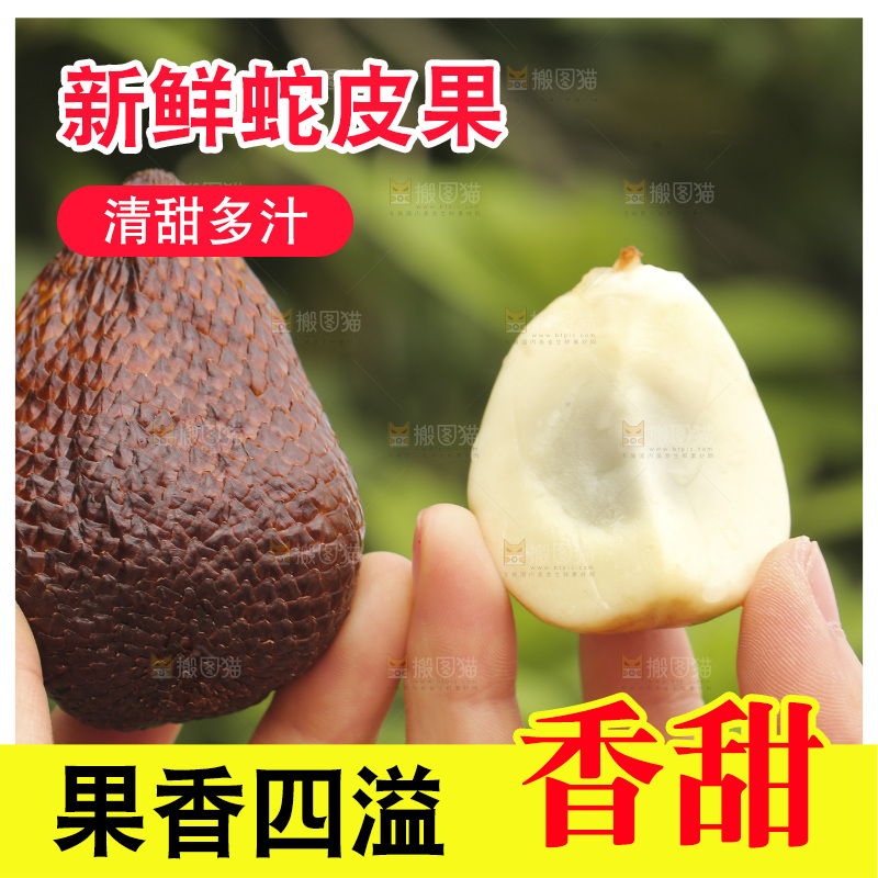 手里拿着新鲜印尼蛇皮果
