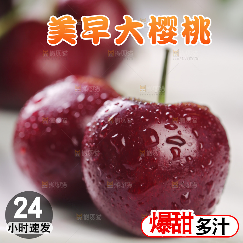 白底上的美早大樱桃