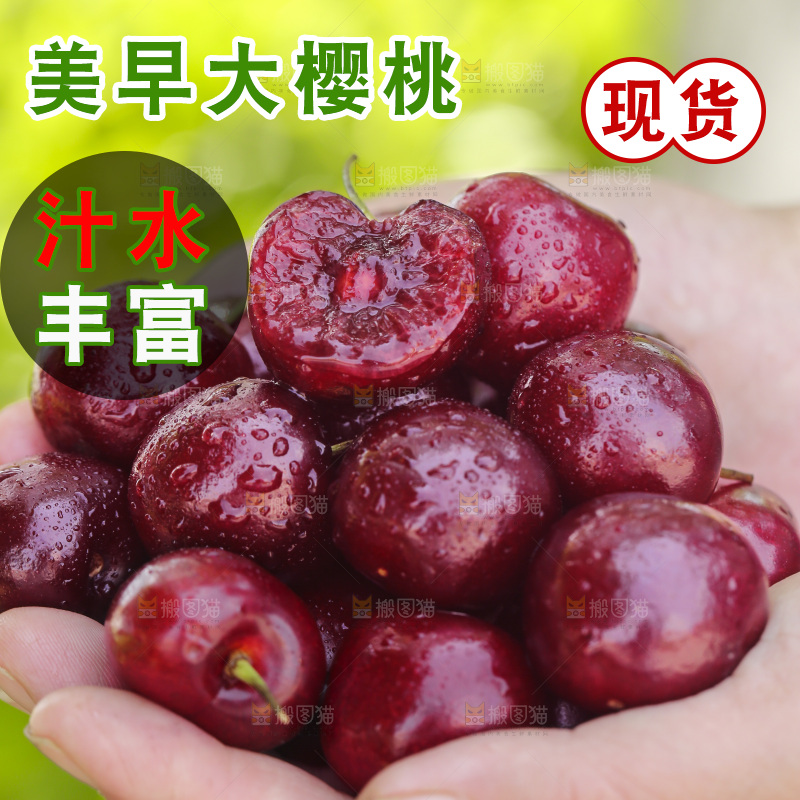 手里捧着美早大樱桃