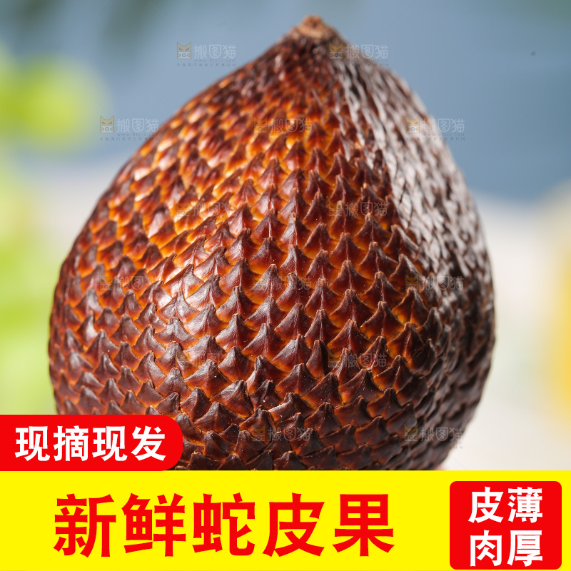 手里拿着新鲜蛇皮果