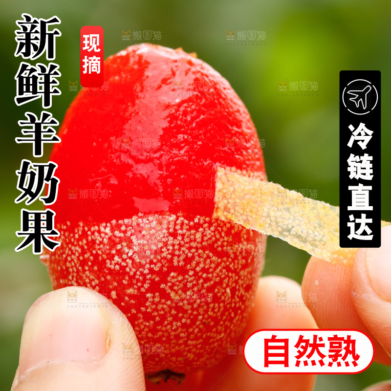 手剥皮新鲜羊奶果