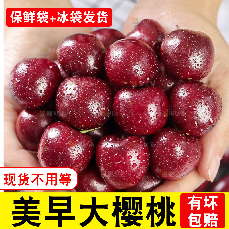 手里捧着山东大樱桃